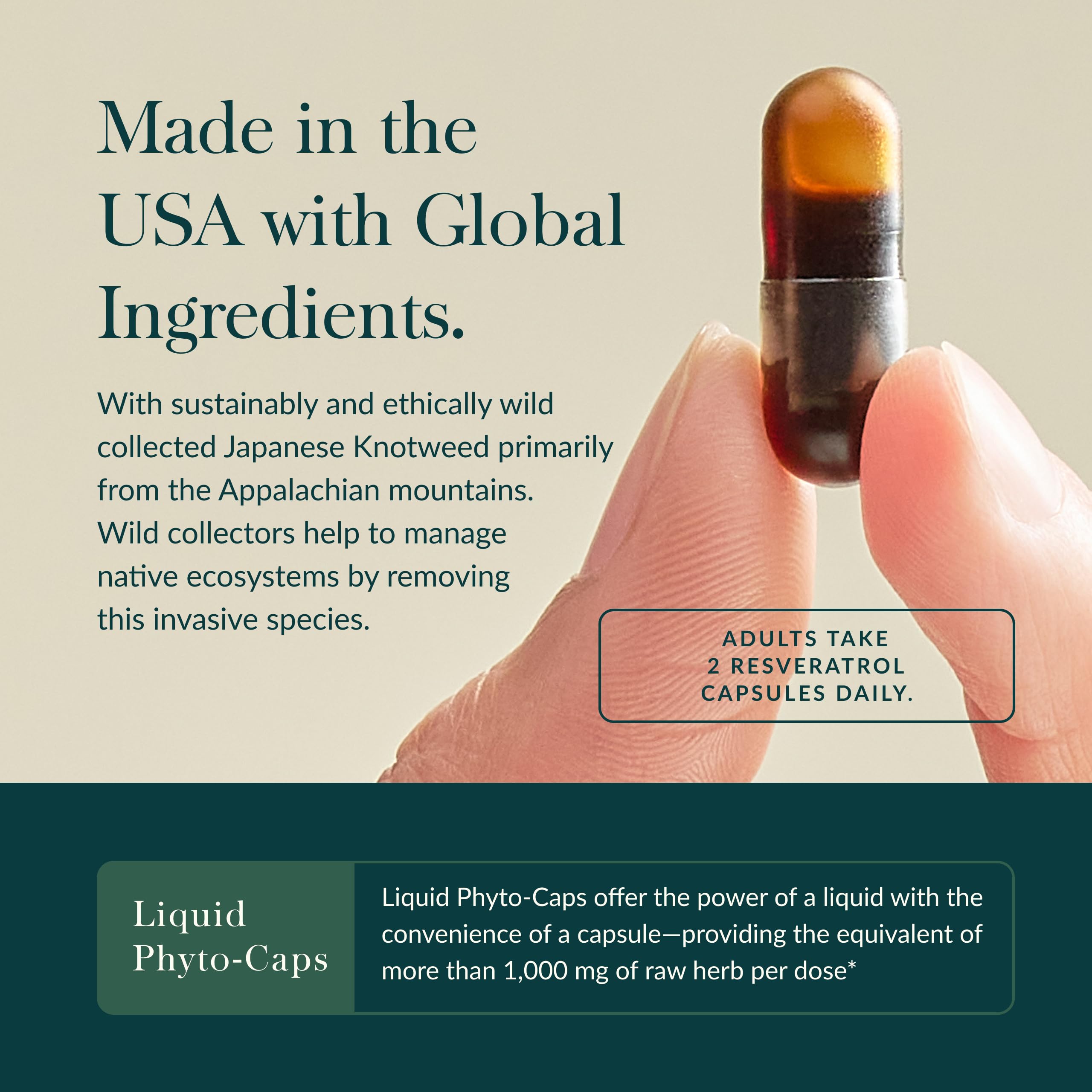 Gaia Herbs Resveratrol - Beauty & Radiance Antioxidant Support Supplement* - Made with Japanese Knotweed - Contains 150 mg Trans-Resveratrol per Serving - 50 Liquid Phyto-Capsules (25 Servings) - Image 4