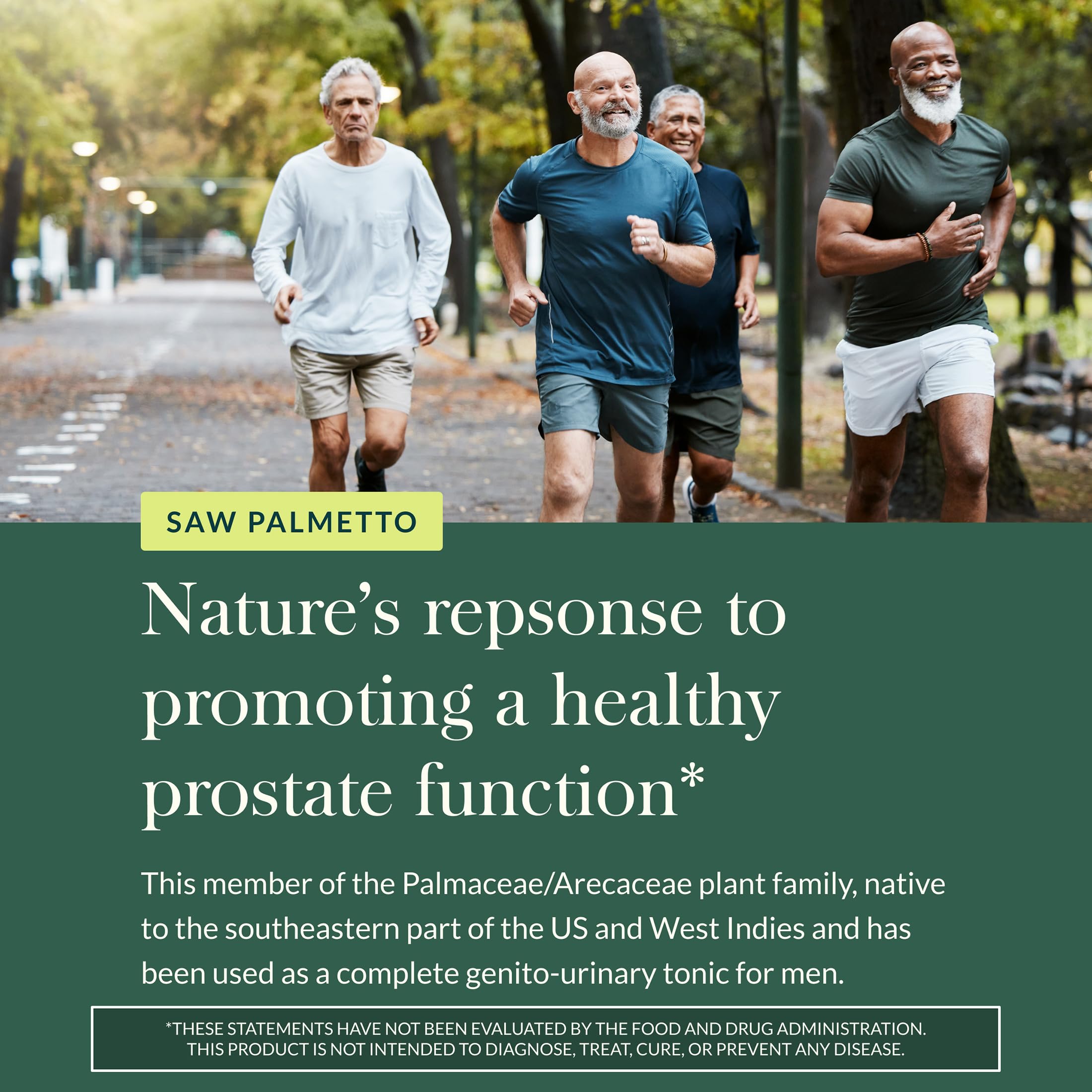 Gaia Herbs Saw Palmetto - Supports Healthy Prostate Function & Urinary Health - Saw Palmetto & Sunflower Seed Lecithin to Support Men's Health* - 60 Vegan Liquid Phyto-Caps (60 Servings) - Image 5