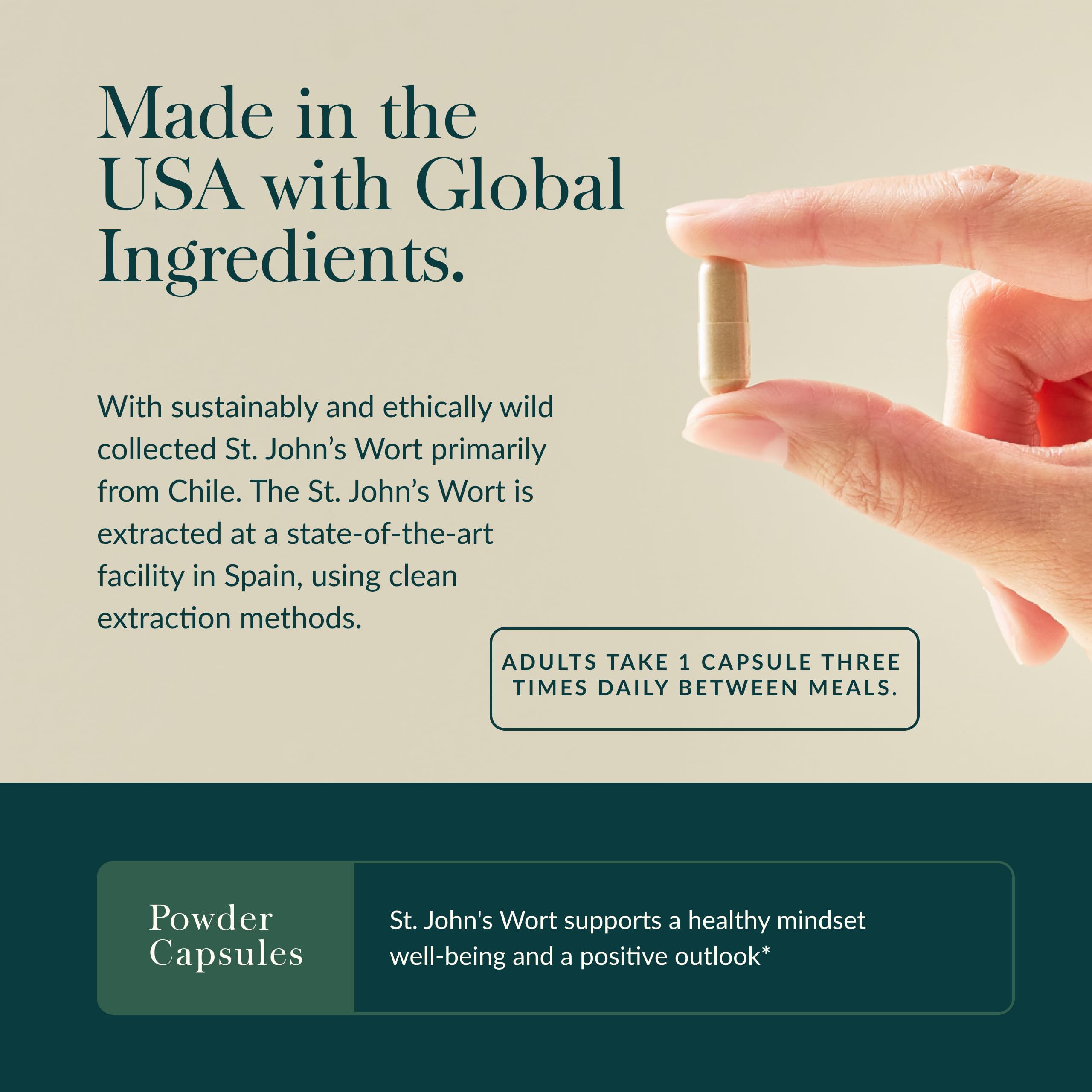 Gaia Herbs St. John's Wort - Stress Support Supplement* - with St. John's Wort - 60 Vegan Capsules (60 Servings) - Image 4