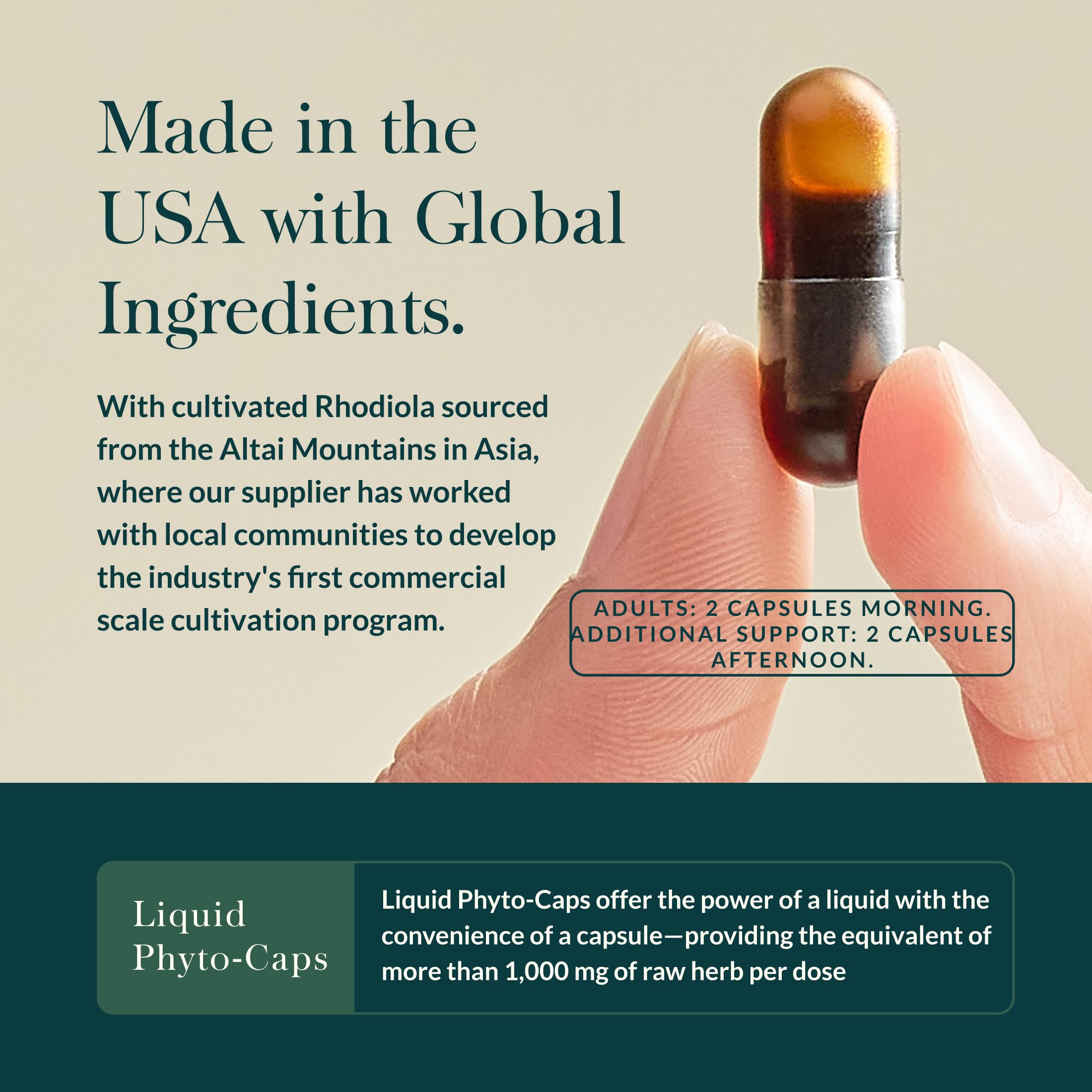 Gaia Herbs Stress Response Supplements - Supports Relaxation & Healthy Stress Response* - with Rhodiola, Holy Basil, Ashwagandha & More - 30 Vegan Liquid Phyto-Caps (15 Servings) - Image 4