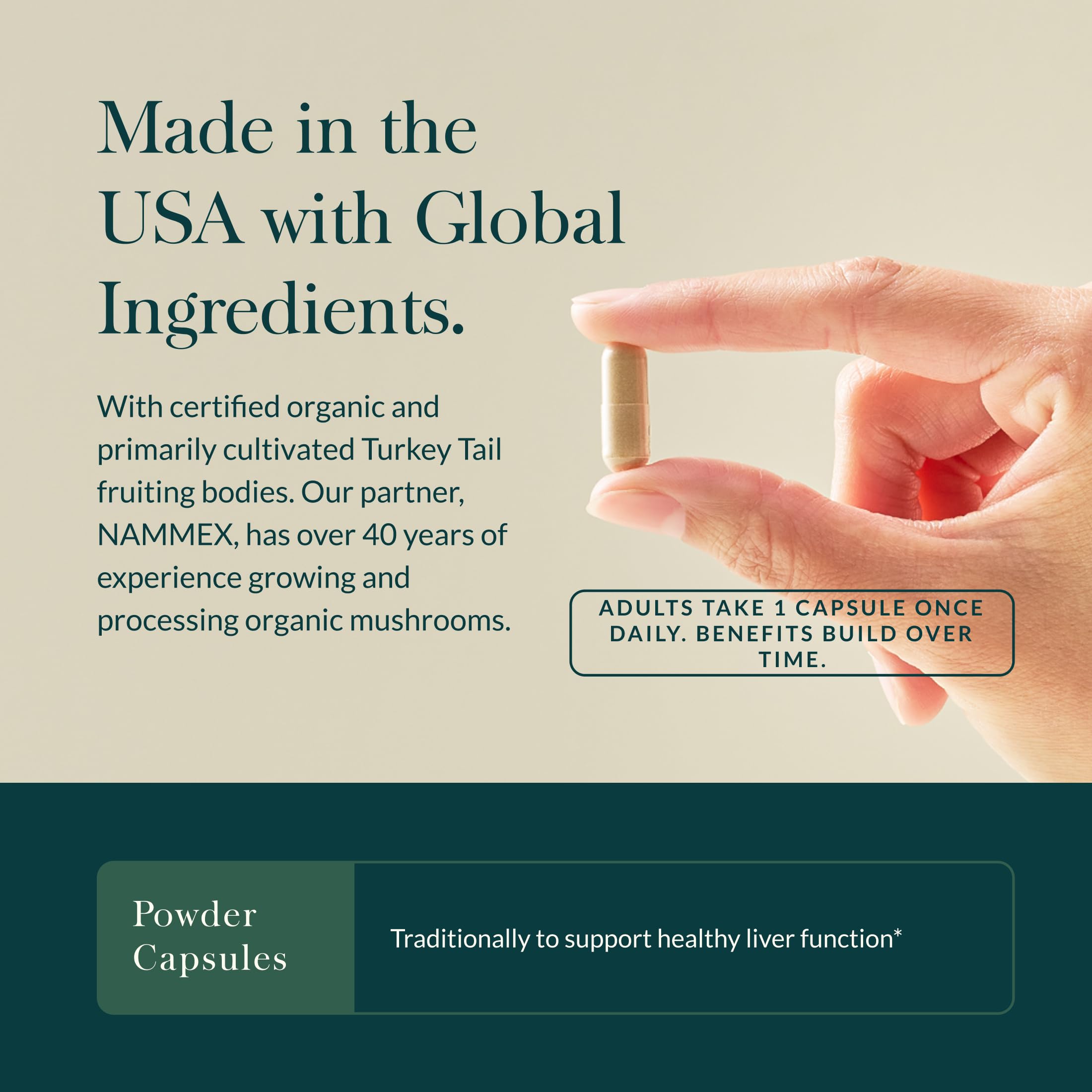 Gaia Herbs Turkey Tail Mushroom - Traditional Immune Support & Liver Health Supplement* - with Organic Turkey Tail Mushroom Fruiting Body Extract - 40 Vegan Capsules (40 Servings) - Image 4