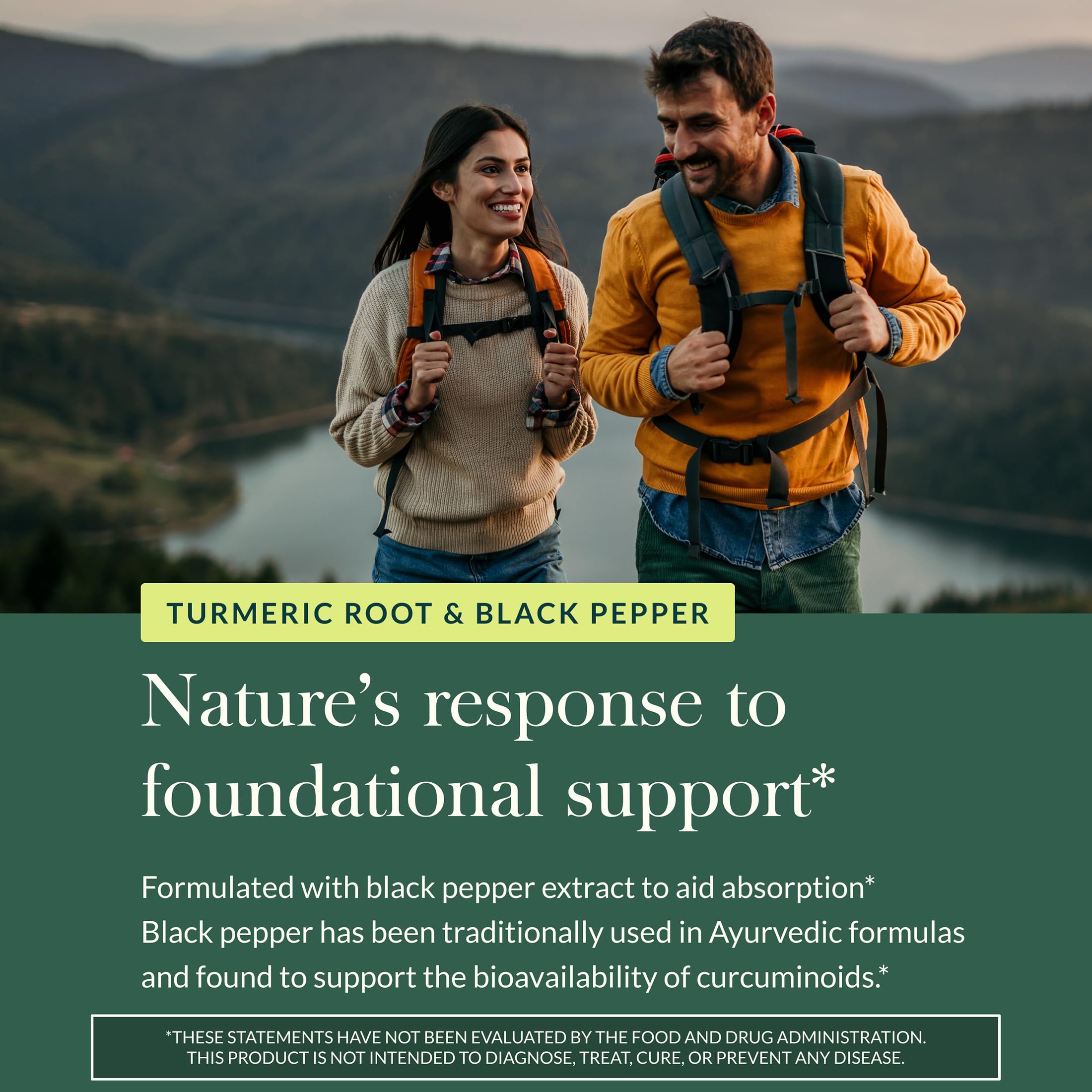 Gaia Herbs Turmeric Supreme Extra Strength - Supports Occasional Discomfort* 60 Phyto-Caps & Reishi Mushroom - Adaptogen Herbal Supplement for Longevity Support* - 40 Phyto-Caps (2 Pack) - Image 6