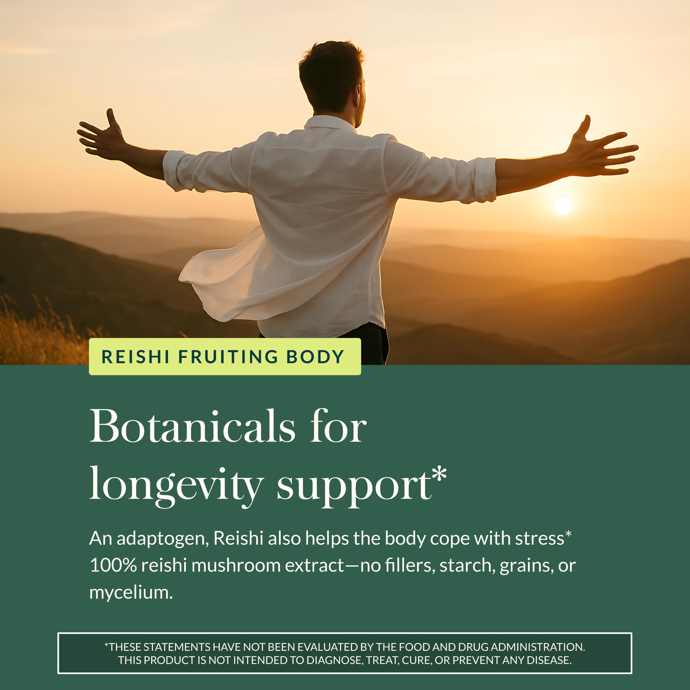 Gaia Herbs Turmeric Supreme Extra Strength - Supports Occasional Discomfort* 60 Phyto-Caps & Reishi Mushroom - Adaptogen Herbal Supplement for Longevity Support* - 40 Phyto-Caps (2 Pack) - Image 9