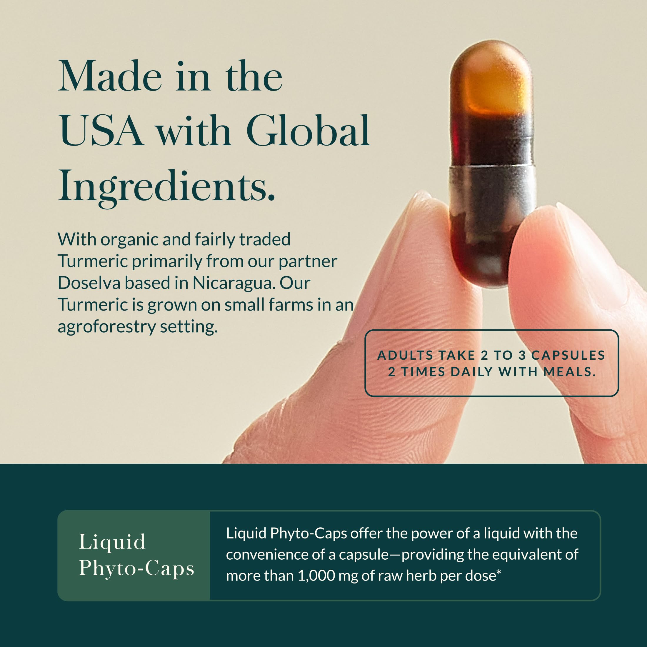 Gaia Herbs Turmeric Supreme Sinus Support - Helps Provide Sinus Relief & Healthy Response* - with Quercetin, Curcuminoids from Turmeric, Black Pepper & More - 60 Vegan Liquid Phyto-Caps (20 Servings) - Image 4